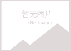 廉江冰夏水泥有限公司